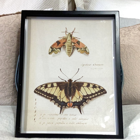 Wood Framed Wall Decor Insects