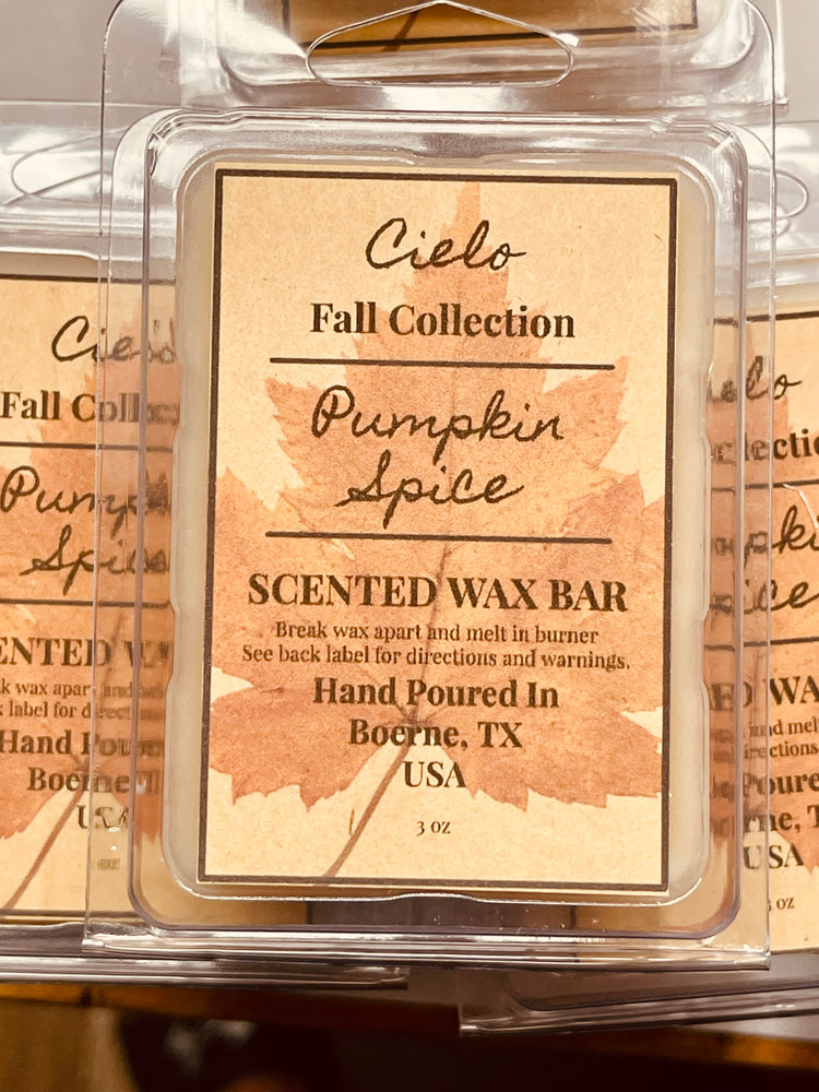 Pumpkin Spice Wax Bar
